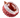 lychee fruit