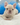 Jolly is a Fluffy female French Bulldog Puppy
