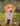 Hund Beagle