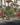 Street retail Monterosso բնակելի համալիրում, Երևան — ժամանակակից խանութներ և ծառայություններ pěշքի հասանելիության տարածքում