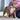 xl bully puppies