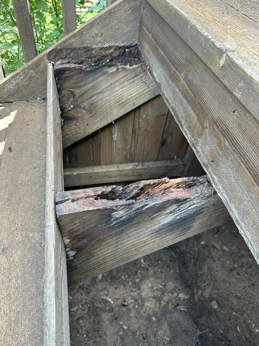 Cedar Park TX wood deck restoration — photo 5