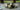 Wedding florist creating ceremony flowers and reception centerpieces in Belgium