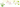 Vivaldi Gadalaiki koncerts Rīgā 2026
