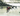 III Winter Olympic Games, 1932, Lake Placid, USA: Speed Skating