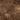 Captivating texture of aged tree wood, a testament to the enduring elegance of the natural world.