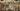 Capitoline Museums, Rome, Italy (AI)
