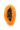 papaya fruit