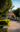 Kiosko en Crucecita Huatulco Hotel Bindani