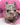 Photo of Blue Merle male French Bulldog Puppy