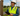 MTM Communication worker during field research