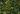 Forest ecosystem restoration project