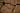 Wood Wall Decor Depths of Antiquity by Tor Design
