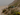 Ericeira surfing retreat