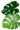 exotic leaves