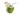coconut coctail