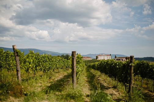 Castle Belaj