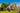 Dubai, UAE, Technotronic City: Gardens, Beauty and Inner Peace