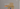 Vignette de la réalisation du site web https://lab.upradata.com/allo-peinture