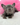 Photo of Blue Merle male French Bulldog Puppy