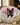Photo of French bulldog puppy