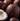 Coconut Oil