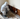Removal of Damaged Materials: