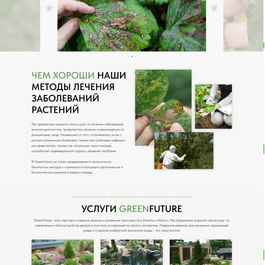 Раздел услуг на сайте GreenFuture
