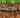 minecraft PE