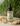 BARBARO Beard oil Vetiveria Odorata