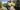 MagicLand: Jungle Express