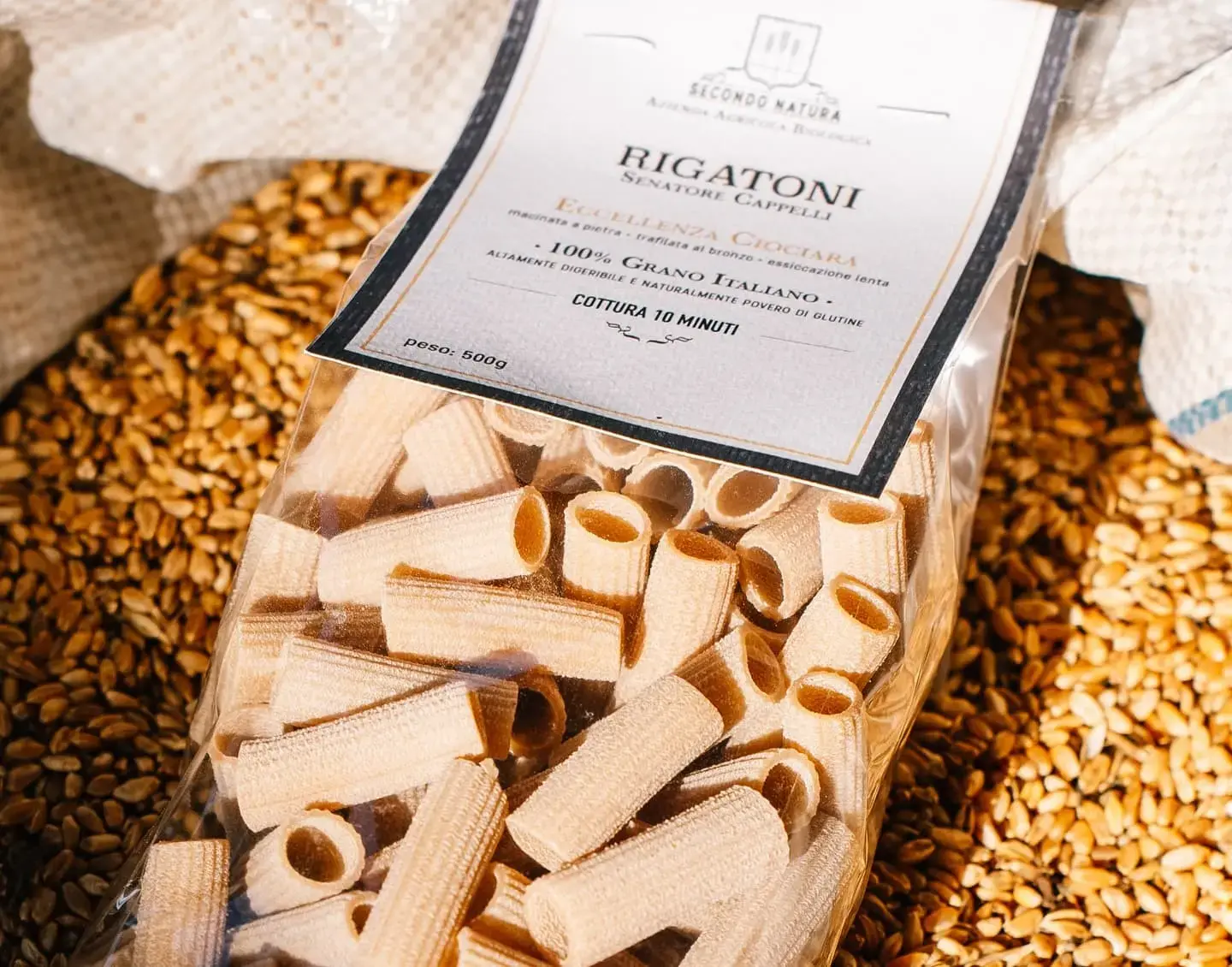 pasta rigatoni
