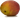 манго