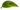 Element design - leaf