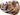 ContextABA formula, context based ABA, individualized ABA therapy, family centered ABA, compassionate ABA therapy, flexible ABA therapy, real life ABA support, ABA therapy home school community, autism support Denver, ContextABA Denver