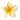 exotic yellow flower