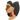 Frau Profil