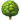 a tree