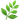 green leaves