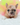 Photo of Blue Merle male French Bulldog Puppy