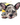 Photo of Fluffy French bulldog female