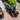 Accessory option 9