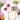 I AM perfume by Éveilleur — photographed with flowers in the backround 