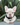 Photo of Fluffy French bulldog female