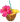 pinapple coctail