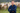 Colaborador da SCL Agro em frente à gados