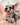 Channel (tri color Merle female) French Bulldog Puppy available for sale in New Jersey.