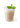 Creamy vending-style beverage topped with milk foam and mint, made using The Base Beverage instant powder for vending machines