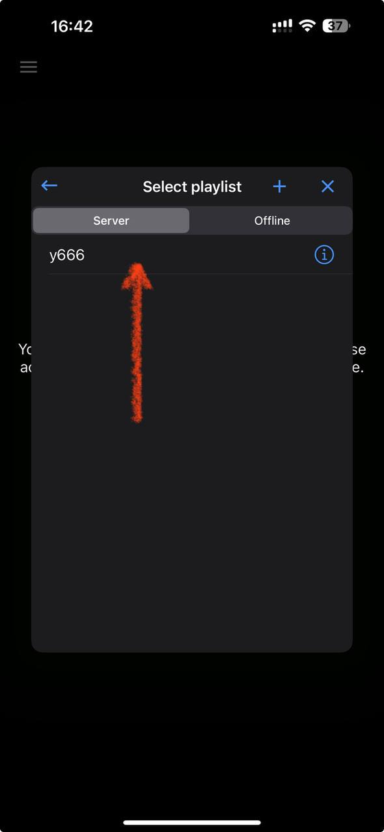 Окно «Select playlist» с плейлистом на вкладке Server