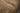 Interior Design Wood Wall Panel In the Stream of the Tree by Tor Design